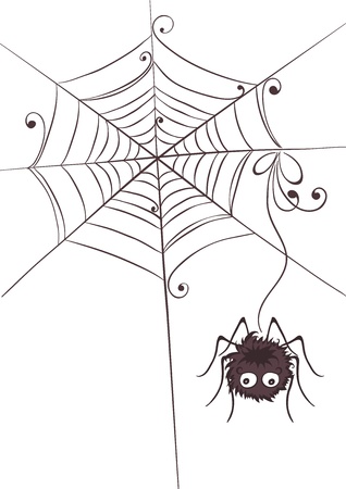 funny hairy spider のイラスト素材