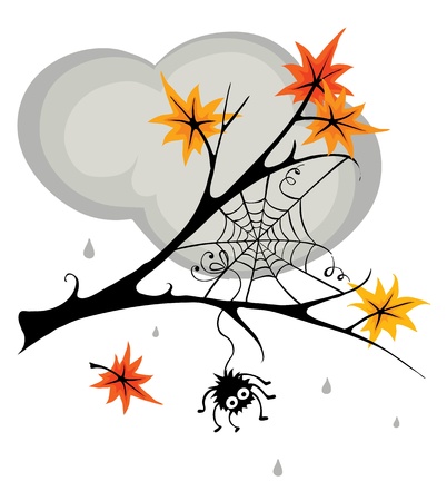 Spider in cobweb in the fall のイラスト素材