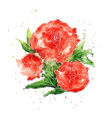 Vector illustration - watercolor flowers peoniesのイラスト素材