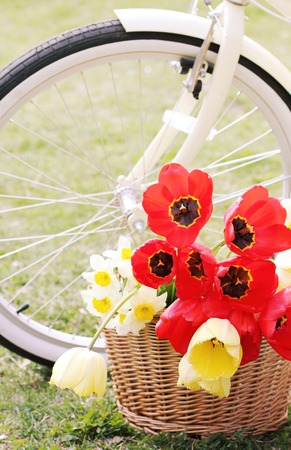 Retro photo  Bike with flowers in a basketの写真素材