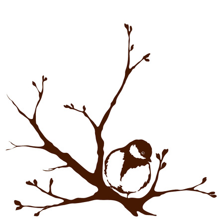 A bird on a branch, springのイラスト素材