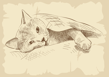 Sleeper Kitty on the couch under a blanketのイラスト素材
