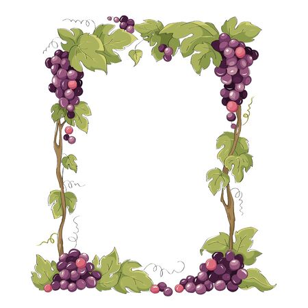 Frame from grapes for vine label. Purple grapes, Vector illustration in watercolor style.のイラスト素材