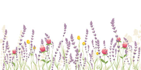 Lavender and summer flowers. Vector illustration, narrow banner with wildflowers, background for postcardのイラスト素材