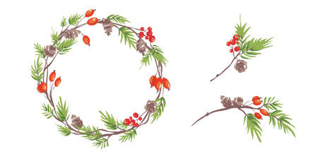 Christmas wreath, holiday background. Collection of design elements with fir branches, berries and cones.のイラスト素材