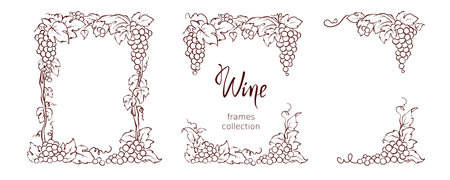 Set of design elements with vine. Vector graphic illustration, corners and frames for wine label design. Sketch in lines, freehand drawing.のイラスト素材