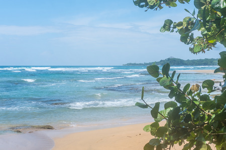 Costa Rica Beach Palm Trees Caibbean Tourism Tourist Paradise Destination Puerto Viejo Caribbean Turquoise Water Beatiful Beachの写真素材