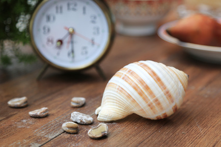 alarm clock seashellの写真素材