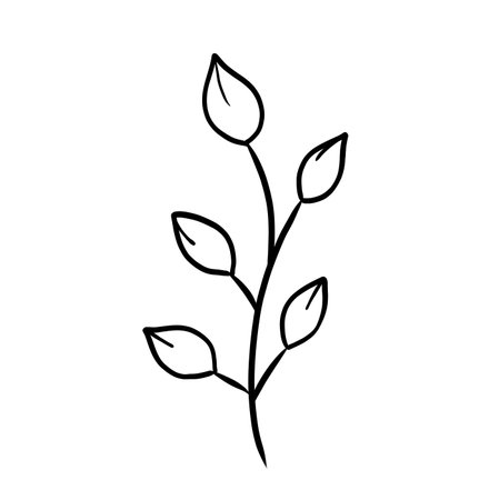 Floral hand drawn art. One abstract flower design. Outline sketch doodle. Branch with leaf on white. Contour  leaves illustration.の写真素材
