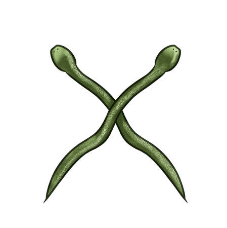 Two snakes cross. detailed snakeskin. Sign cross negative. Hand-drawn green animals in cartoon style. X symbol. Alphabet design like in mediaeval. Danger posterの写真素材