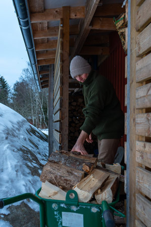 Winter Firewood Preparation by Rustic Wooden Cabin.
