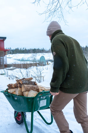 Stacking Firewood Outdoors in Snowy Countryside.の写真素材