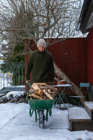 Stacking Firewood Outdoors in Snowy Countryside.