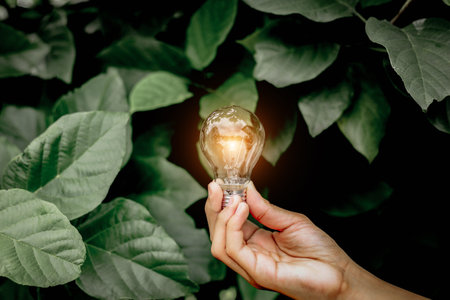 Hand holding light bulb,natural energy and love the world concept.