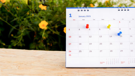 Calendar and scheduled appointments with pins.