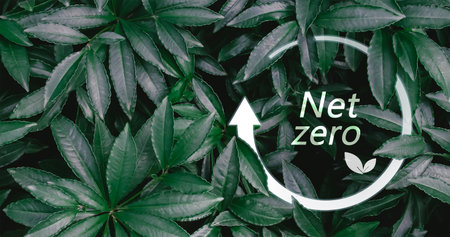 Carbon neutral is the 2050 net zero carbon dioxide emissions state.の写真素材