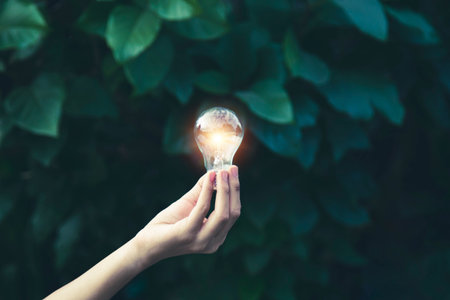 Hand holding a glowing light bulb representing an idea or innovation in a natural environment