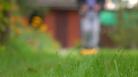 Green grass and man with lawn mower approaching the cameraの写真素材