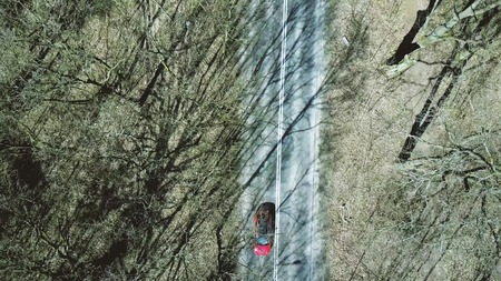 Aerial shot of car road in the forest on a spring day, top viewの写真素材