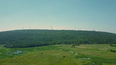 Aerial view of multiple wind generators above the forest. Green energy production concept