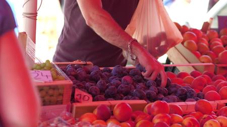 Buying plums at the marketplace in summerの写真素材