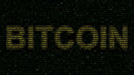 BITCOIN word made of hexadecimal symbols on computer screen. 3D rendering