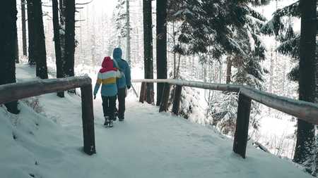 Couple walking along mountain forest trail in the snowの写真素材