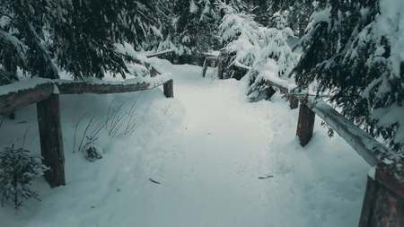 Mountain forest trail in the snowの写真素材
