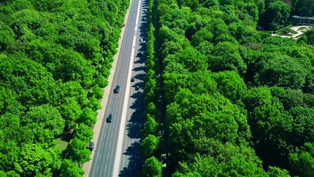 Aerial view of forest highway traffic