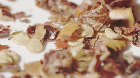 Mixed spice on the plate, macro shot