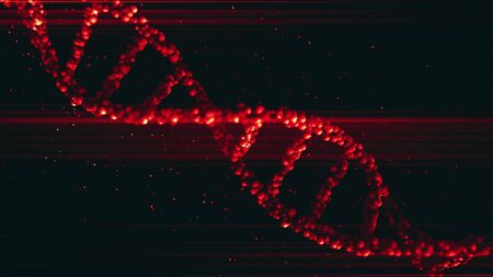 Red DNA molecule model, 3D renderingの写真素材