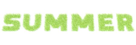 SUMMER word made with grass on white background, 3D renderingの写真素材