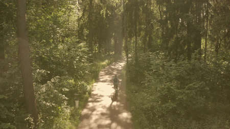 Aerial following shot of a bicyclist on a sunny summer park pathway
