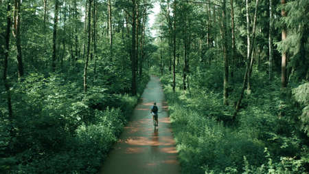 Aerial view of a cyclist riding in the park
