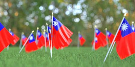 National flags of Taiwan in the grass. Celebration related 3D rendering