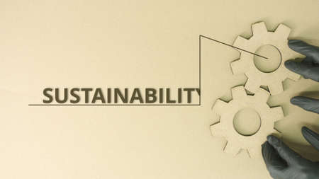 Cardboard cog wheels and Sustainability text on the table