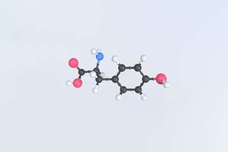 Molecule of tyrosine, isolated molecular model. 3D renderingの写真素材