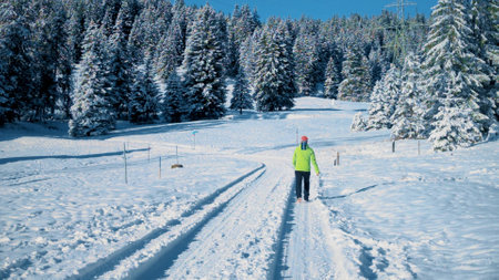 Unknown hiker walks on forest woods background in Swiss Alps in winter. Glaubenberg, Switzerlandの写真素材