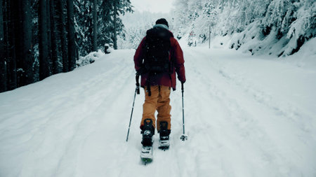 Unknown man skies in alpine mountainous woods in falling snow in Switzerlandの写真素材