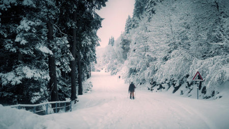 Lone hiker skies in beautiful Swiss Alpine mountainous woods in falling snowの写真素材