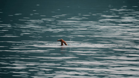 Unknown man dives under waterの写真素材