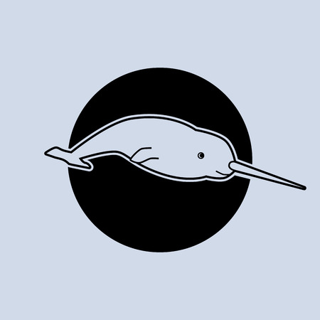 Illustration of a narwhalのイラスト素材