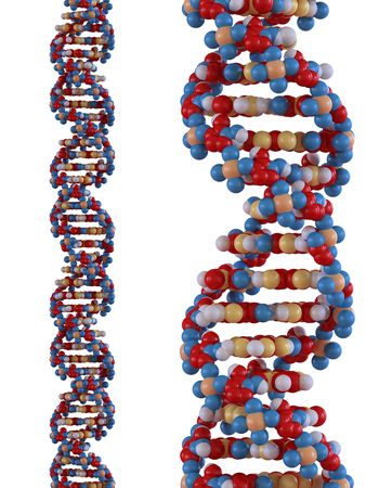 DNA strandの写真素材