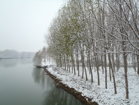 plain Mantua, Italy - December 8, 2012  misty images of the floodplain of the river oglio in winterの写真素材