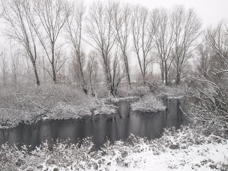 plain Mantua, Italy - December 8, 2012  misty images of the floodplain of the river oglio in winterの写真素材