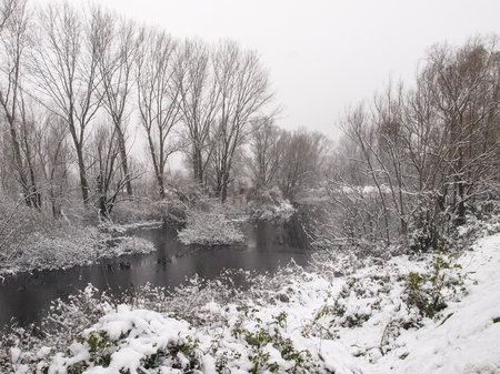 plain Mantua, Italy - December 8, 2012  misty images of the floodplain of the river oglio in winterの写真素材