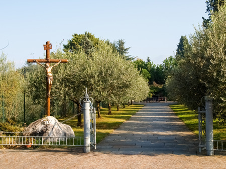 Piona, Italy - October 29, 2014: Abbey of Piona, Piona Abbey, tree-lined avenue of Olivesの写真素材