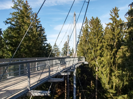Scheidegg - Germany - november 1, 2014: Skywalkpark. Panoramic structure of steel and wood built in the woods with beautiful mountain viewsのeditorial素材