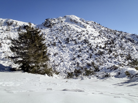 Cimadera Cima Fojorina, Switzerland: mountain of Lombardy on the border between Italy and Switzerland.のeditorial素材