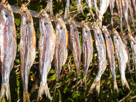 Lake Como, Italy. Typical fish named misultin dried in the sunの写真素材